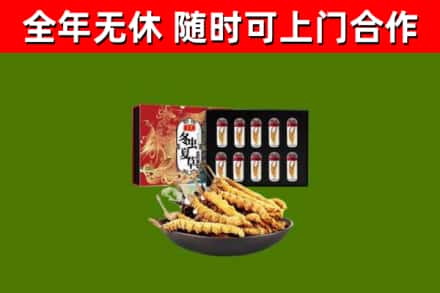 冀州烟酒回收冬虫夏草礼盒.jpg